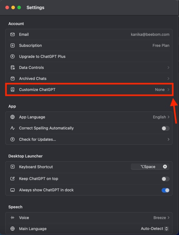 How to Get and Use ChatGPT macOS App 17 ChatGPT Mac App Settings